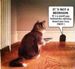 Bedroom Tax 